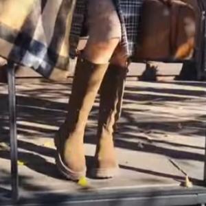 Сапоги 9787 Сапоги 9787