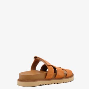 Сабо 10669 Сабо 10669